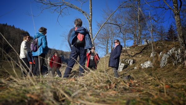 Sortie nature en collectif Sylvothérpie